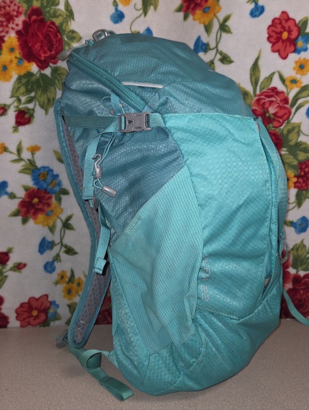 The North Face Aleia 22 Liter Backpack